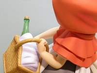 Rehabilitacija volka s komarjevo pomočjo