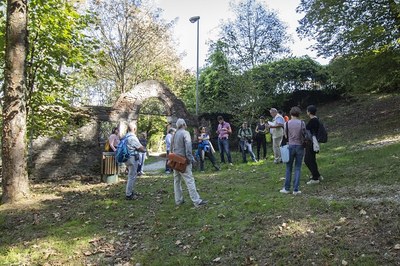 Reševanje alpskih vrst