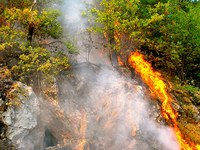 Suša in gozdni požari zajeli Piemontske Alpe