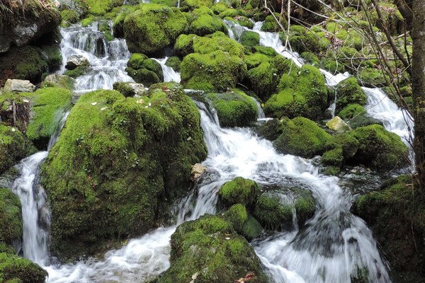 Vodni viri v Kamniško-Savinjskih Alpah so onesnaženi: fekalije odtekajo v izvire pitne vode