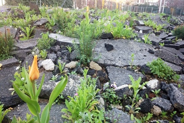 Zapiranje tal stopnjuje težave s toploto