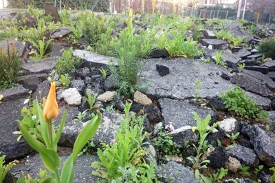 Zapiranje tal stopnjuje težave s toploto