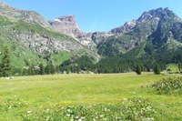 Zaščitena območja v Alpah in podnebne spremembe