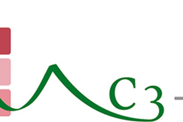 C3