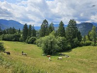 Na deželo po delo - revitalizacija poklicev evropskega podeželja