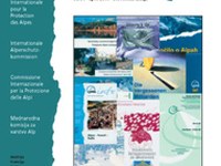 Cipra-Info 56: Promet narašča hitreje kot zavest