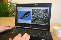 Kalejdoskop alpskih pokrajin